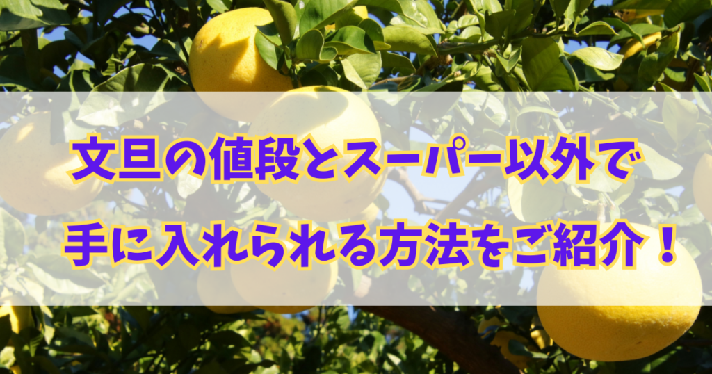 文旦の値段とスーパー以外で手に入れられる方法をご紹介！！