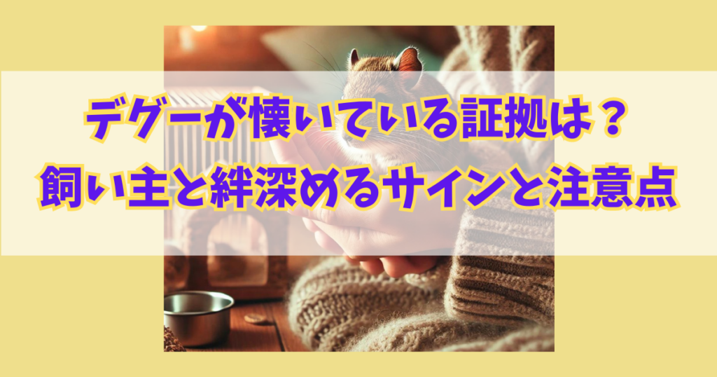 デグー懐いている証拠は?飼い主と絆深めるサイン５つと注意点を解説