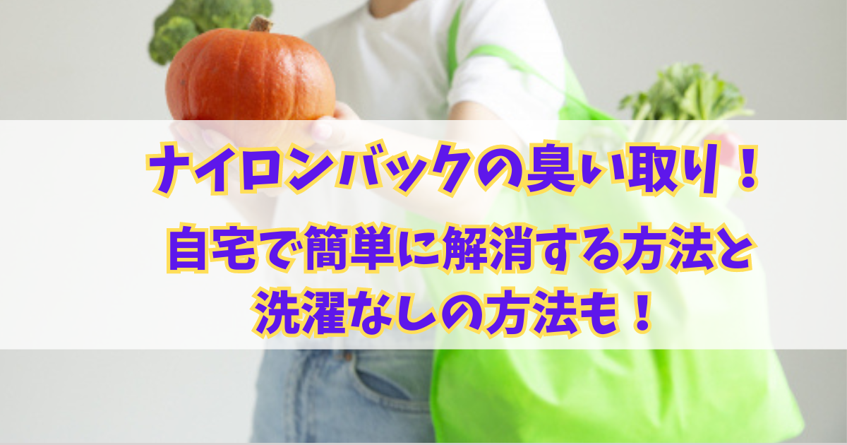 野菜など食料品の入ったナイロンバック