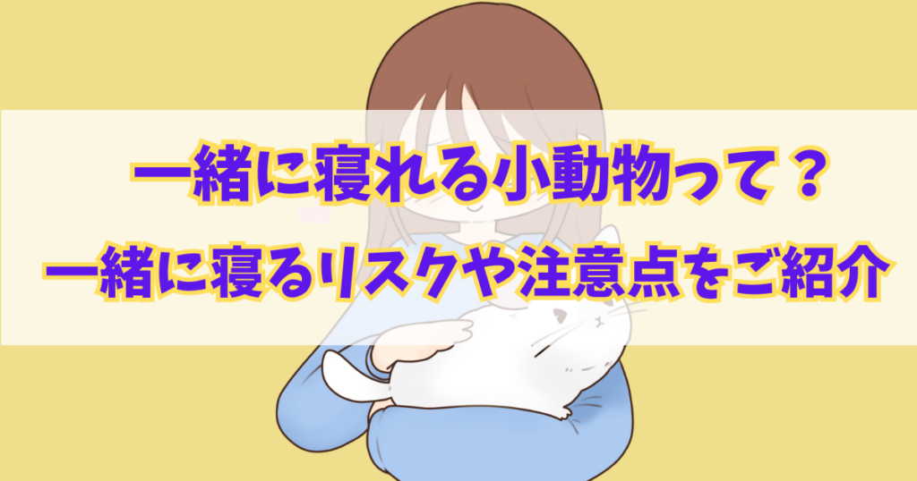 一緒に寝れる小動物って？一緒に寝るリスクや注意点をご紹介！