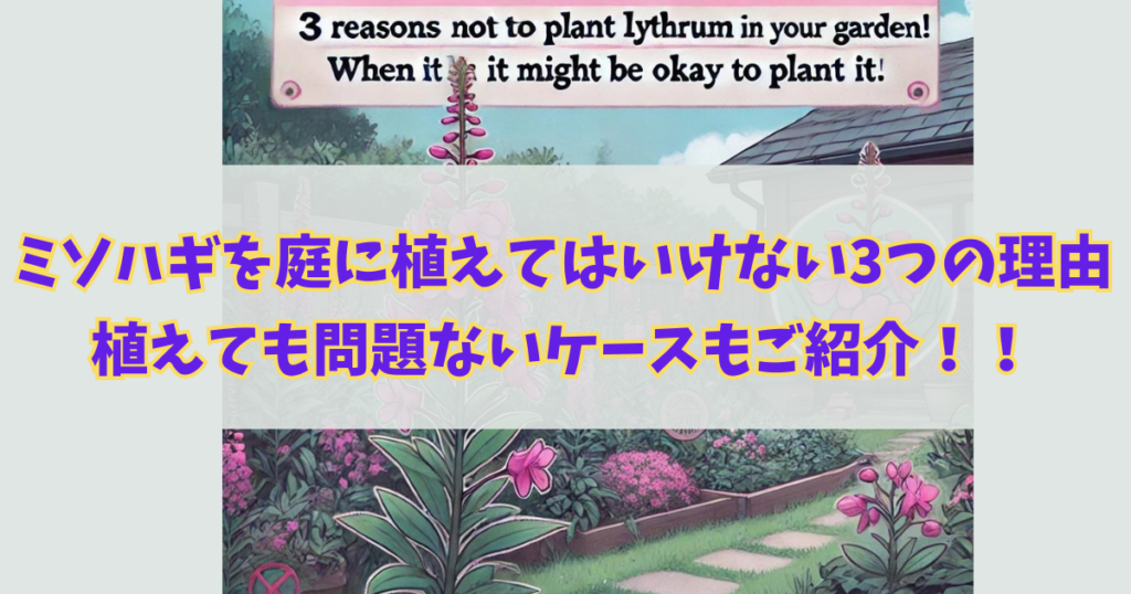 ミソハギを庭に植えてはいけない3つの理由！植えても問題ないケースもご紹介！