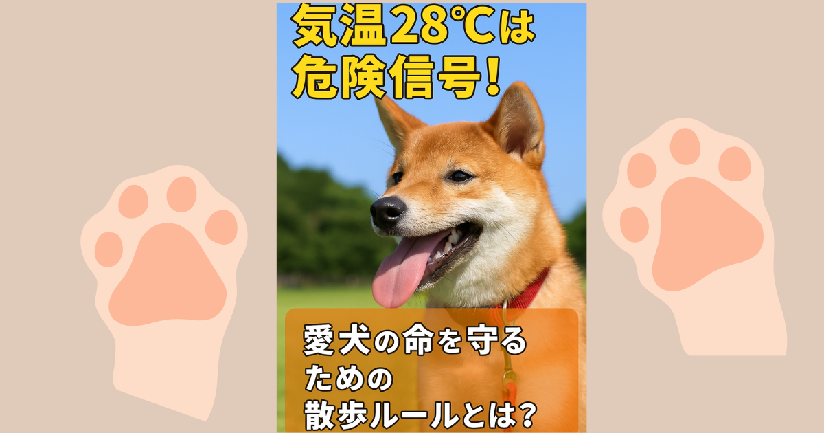 犬 散歩 気温 何度まで